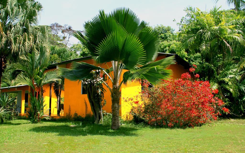 El Ranchito Surfcamp 호텔 Pedregal 외부 사진