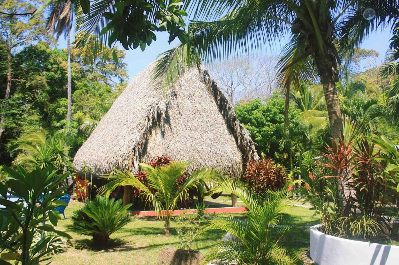 El Ranchito Surfcamp 호텔 Pedregal 외부 사진