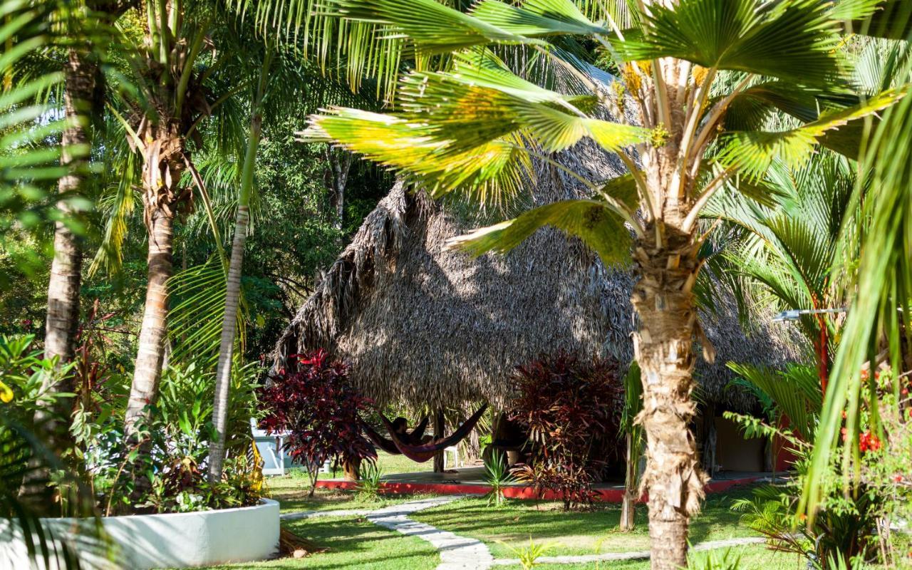 El Ranchito Surfcamp 호텔 Pedregal 외부 사진